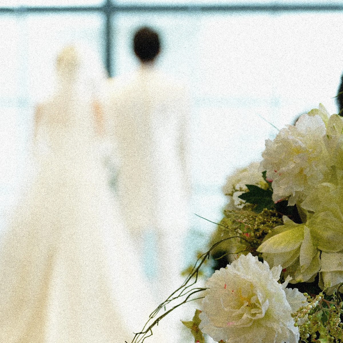 レースのベールを着けた新婦の横顔